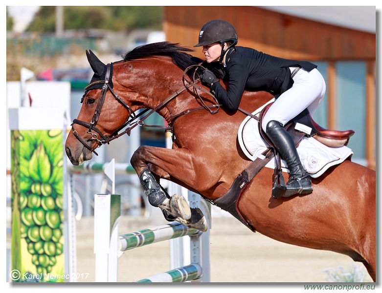 Malokarpatský strapec CSI2* - Big Tour