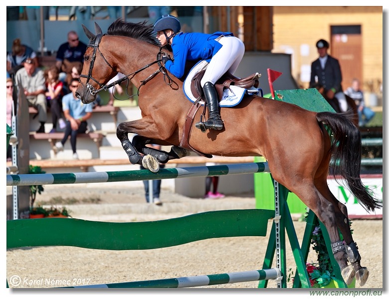 Malokarpatský strapec CSI2* - Big Tour