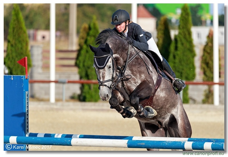 Malokarpatský strapec CSI2* - Middle Tour