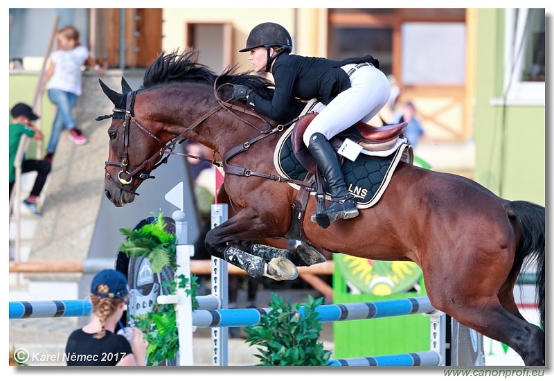 Malokarpatský strapec CSI2* - Middle Tour