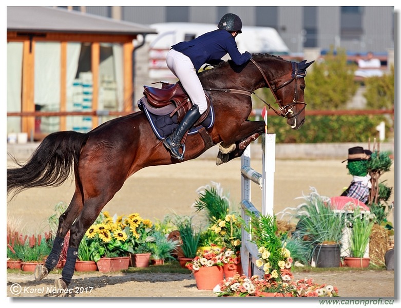 Malokarpatský strapec CSI2* - Middle Tour