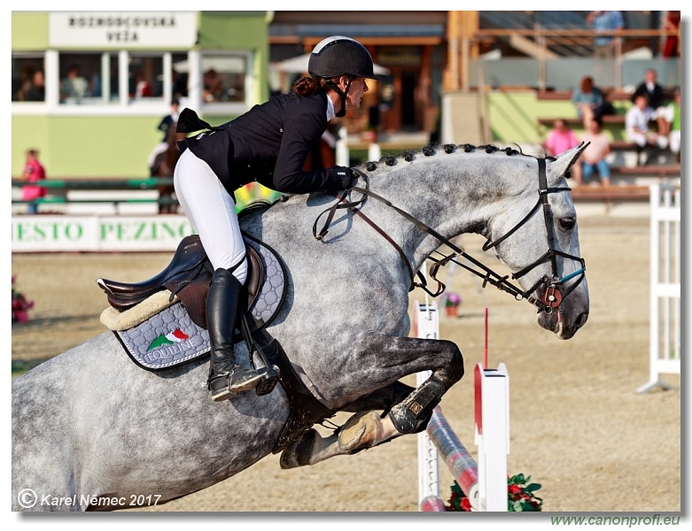 Malokarpatský strapec CSI2* - Middle Tour