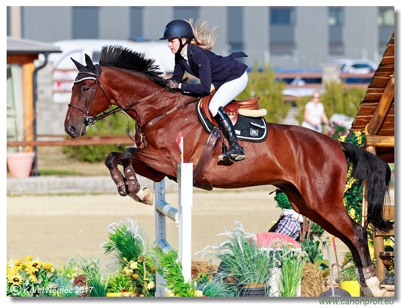 Malokarpatský strapec CSI2* - Middle Tour