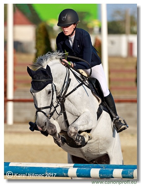 Malokarpatský strapec CSI2* - Middle Tour