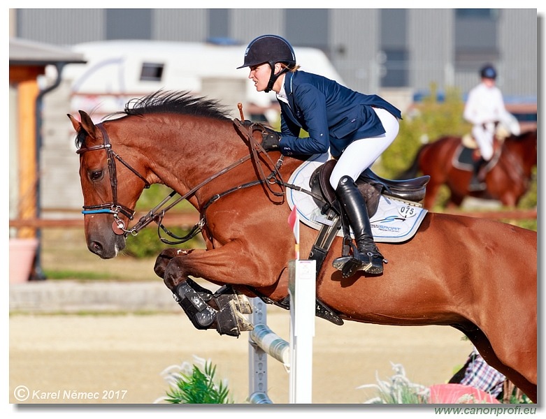 Malokarpatský strapec CSI2* - Middle Tour