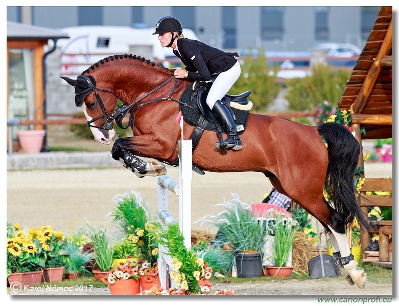 Malokarpatský strapec CSI2* - Middle Tour