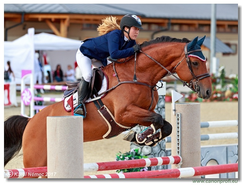 Malokarpatský strapec CSI2* - Middle Tour