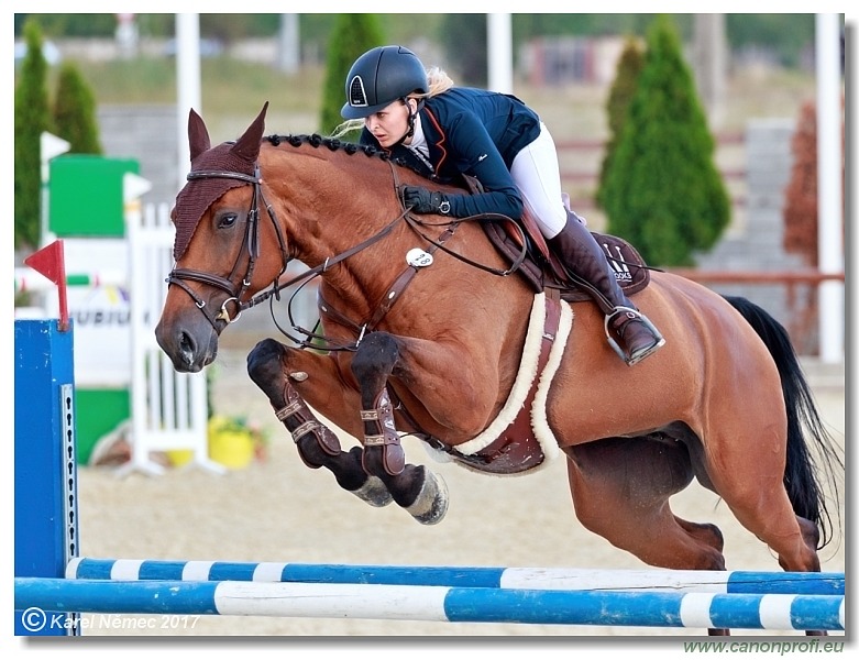 Malokarpatský strapec CSI2* - Middle Tour