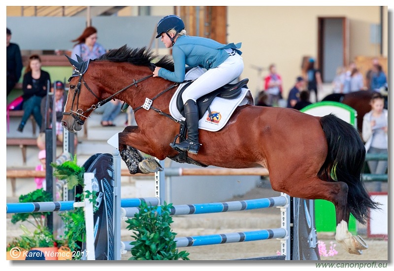 Malokarpatský strapec CSI2* - Middle Tour