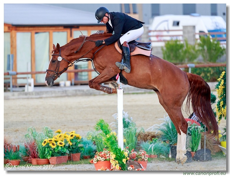 Malokarpatský strapec CSI2* - Middle Tour