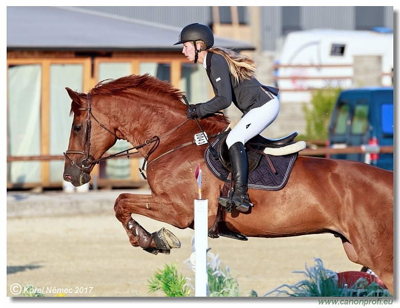 Malokarpatský strapec CSI2* - Middle Tour