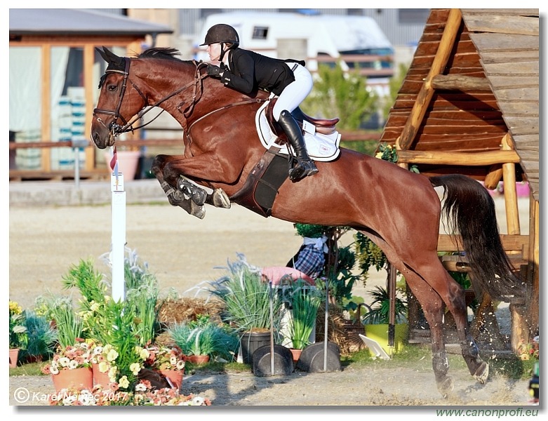 Malokarpatský strapec CSI2* - Middle Tour