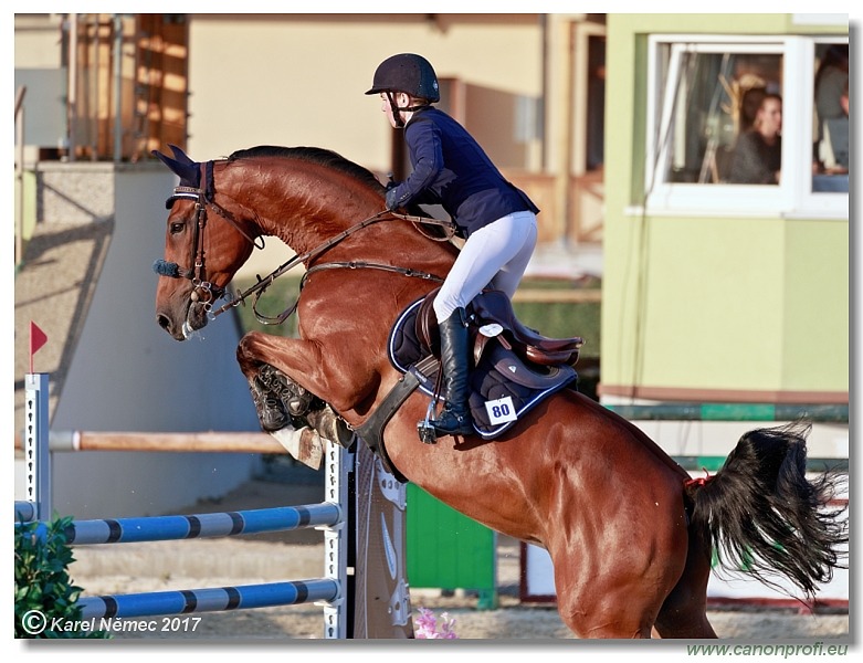 Malokarpatský strapec CSI2* - Middle Tour