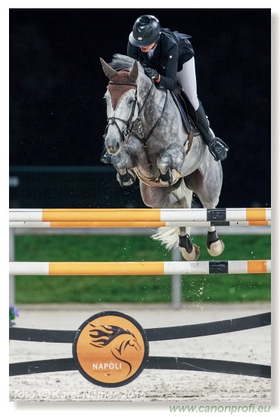 CSI2* - Silver Tour