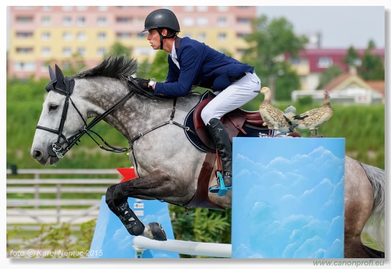 CSI2* - Grand Prix