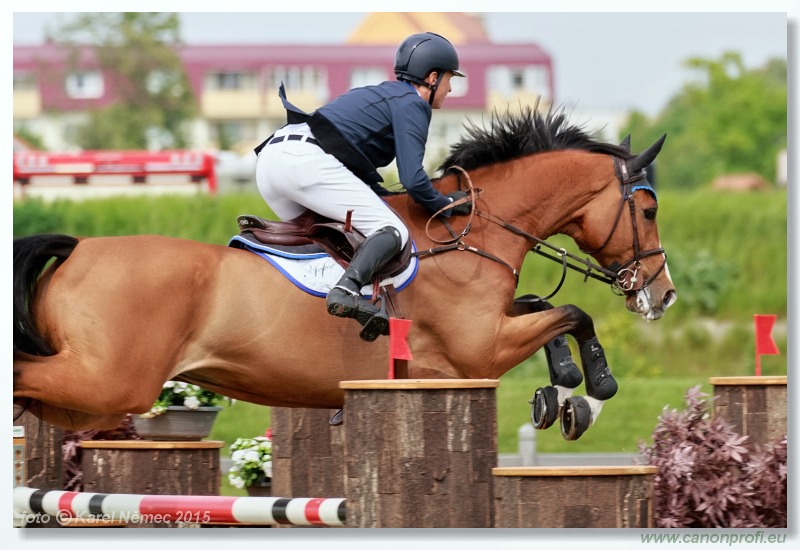 CSI2* - Grand Prix