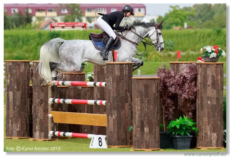 CSI2* - Grand Prix