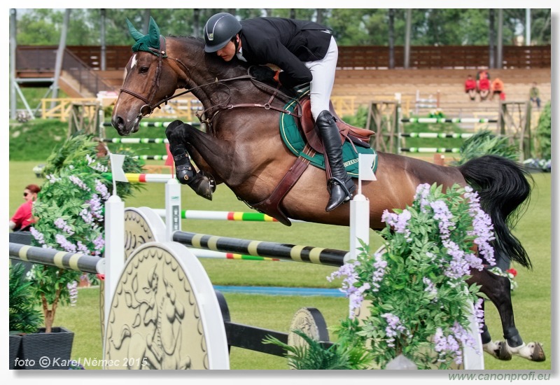 CSI2* - Grand Prix