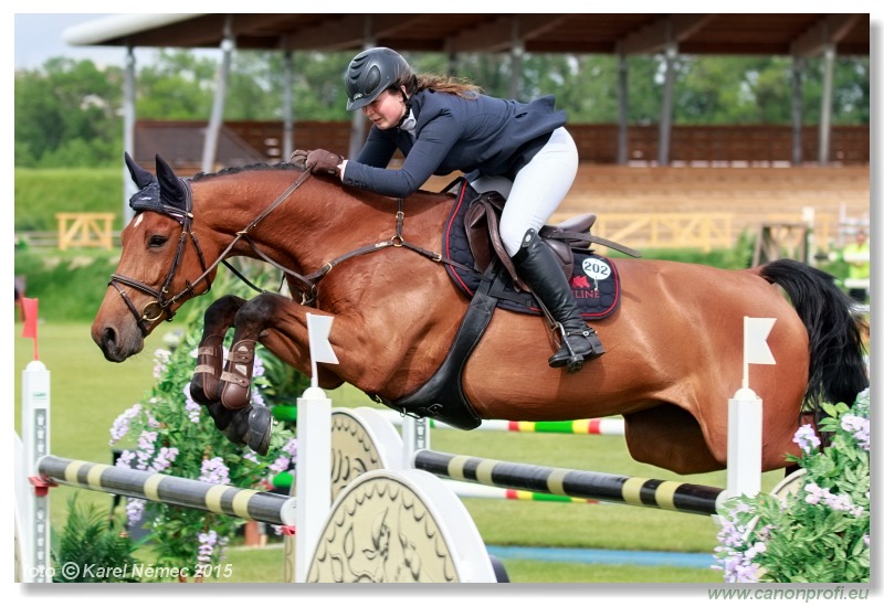 CSI2* - Grand Prix