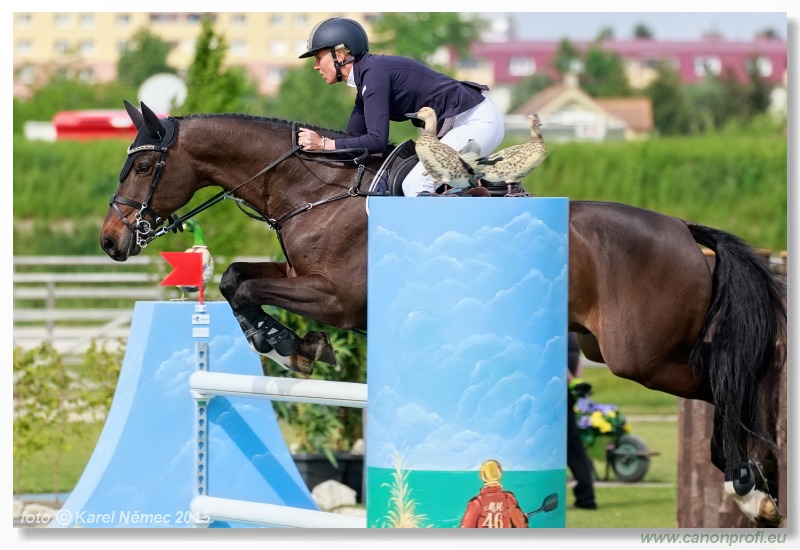 CSI2* - Grand Prix