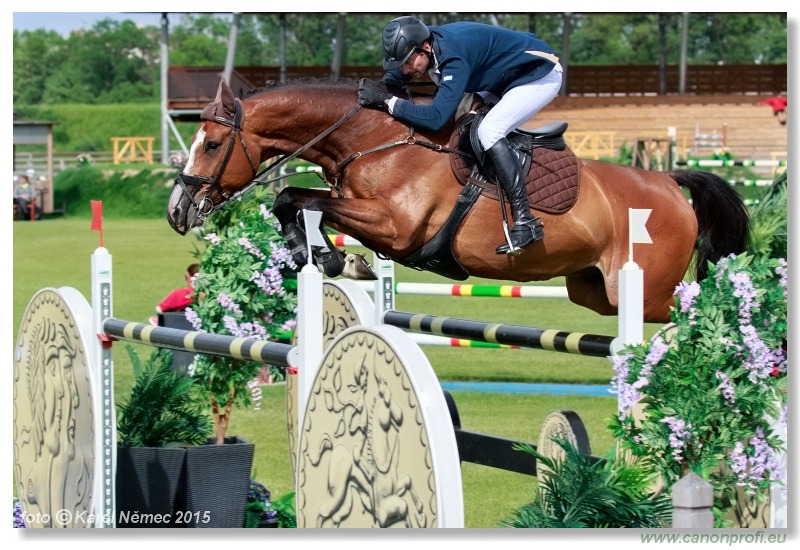 CSI2* - Grand Prix