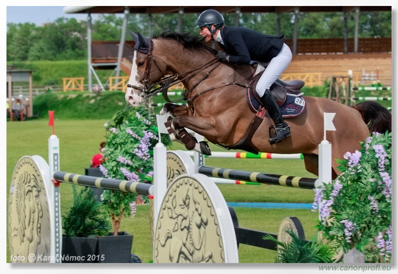 CSI2* - Grand Prix