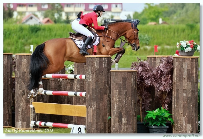 CSI2* - Grand Prix