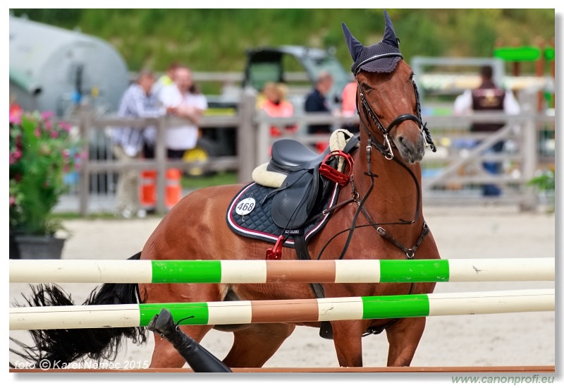 CSI2* - Medium Tour