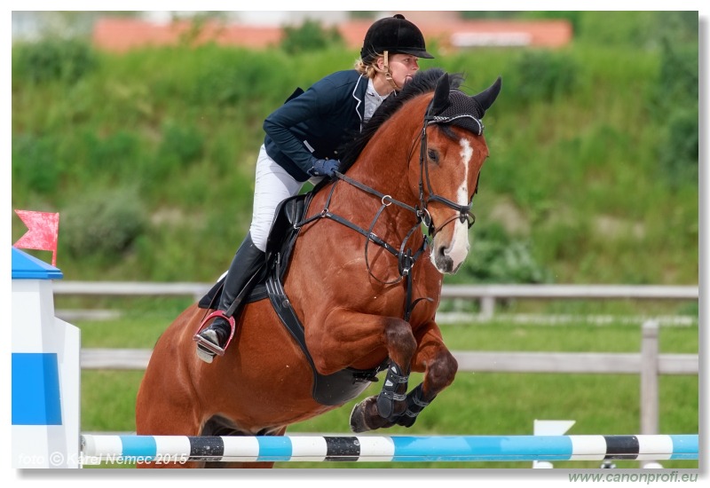 CSI2* - Medium Tour