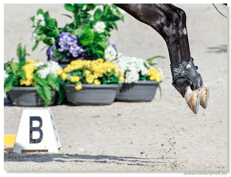 Šamorín - CSI2* Grand Prix Napoli