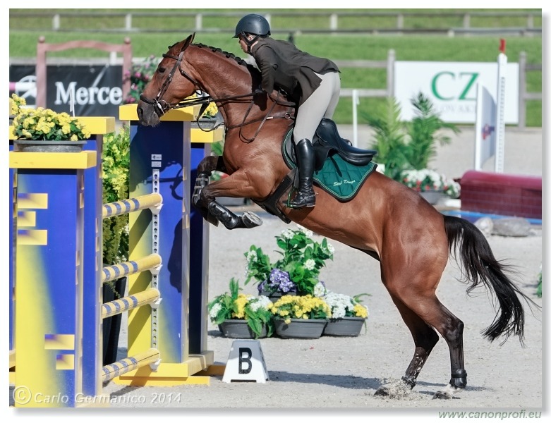 Šamorín - CSI2* Grand Prix Napoli