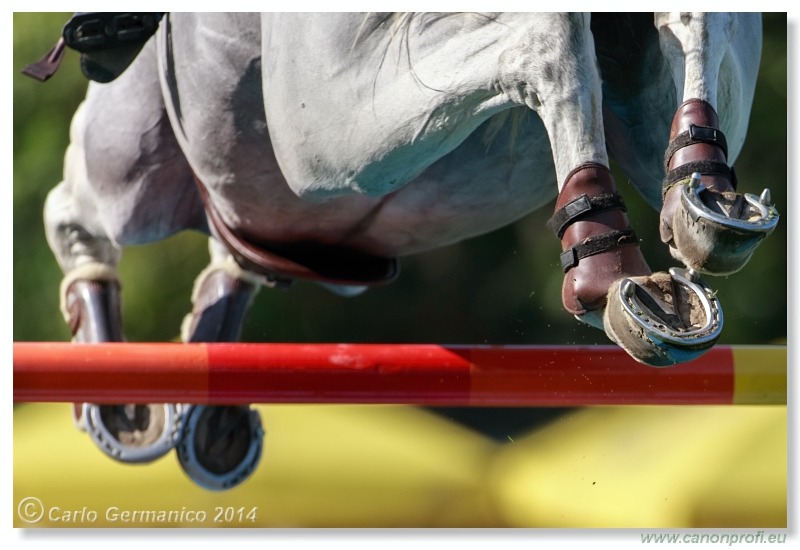 Grand Prix Bratislava