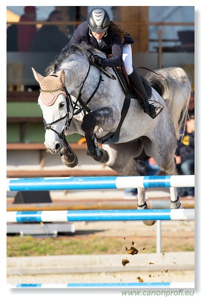 LINDE Grand Prix CSI* Pezinok