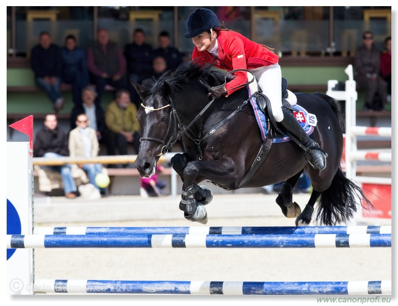 LINDE Grand Prix CSI* Pezinok