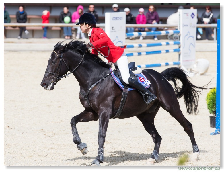 LINDE Grand Prix CSI* Pezinok