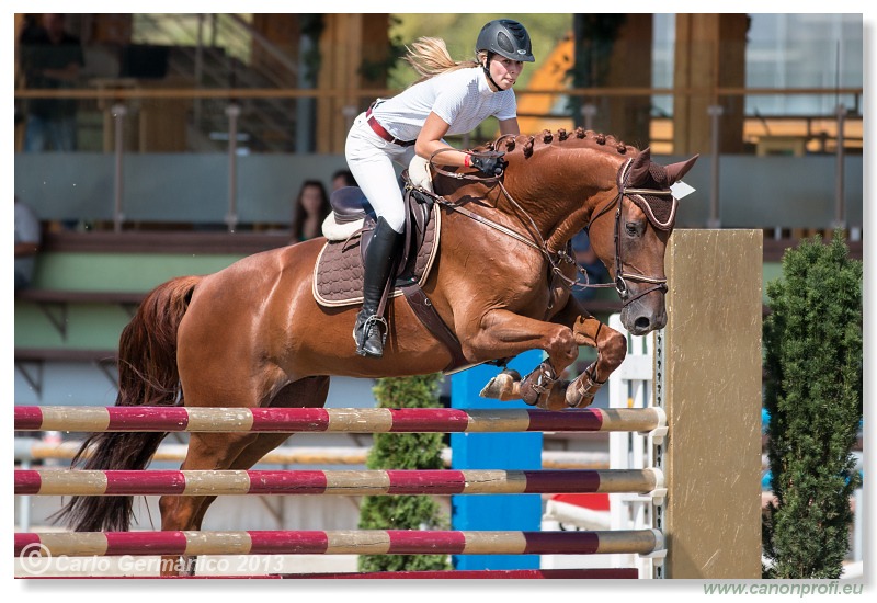 Grand Prix CSI2* o malokarpatský strapec