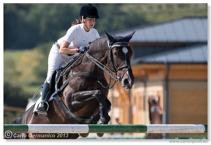 Grand Prix CSI2* o malokarpatský strapec