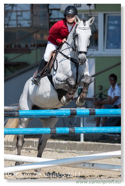 Grand Prix CSI2* o malokarpatský strapec