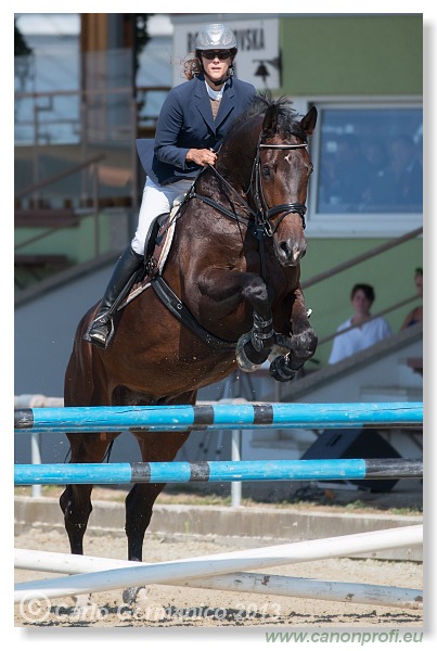 Grand Prix CSI2* o malokarpatský strapec