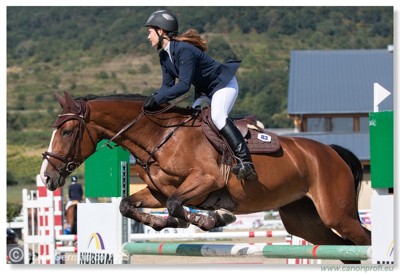 Grand Prix CSI2* o malokarpatský strapec