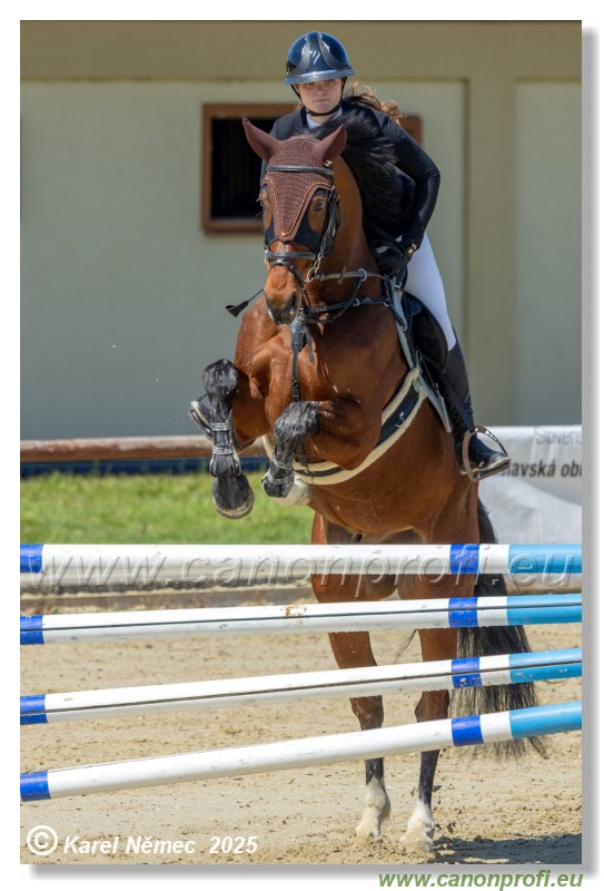 Rozlka Grand Prix 2025 - 1. kolo  -  115cm