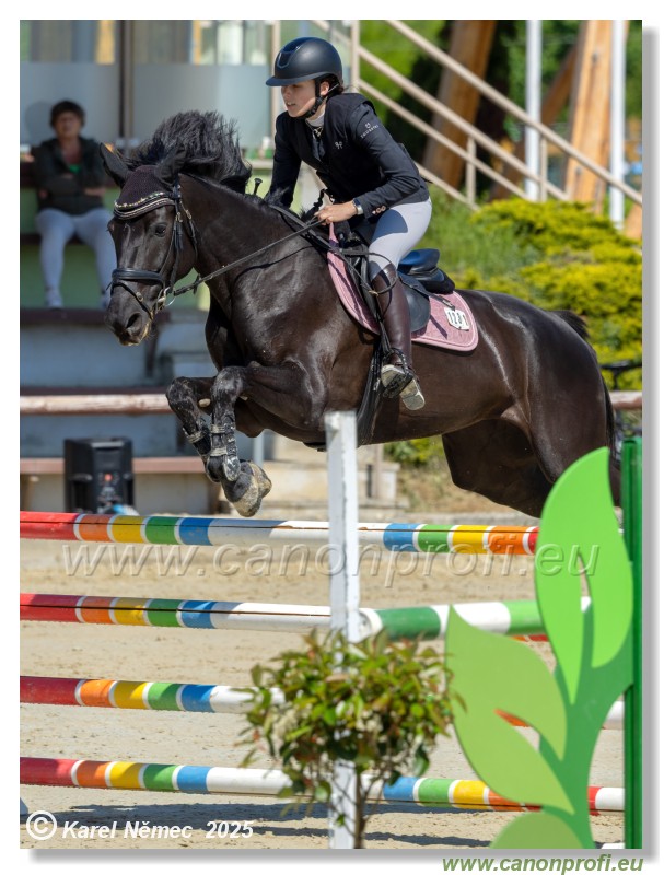 Rozlka Grand Prix 2025 - 1. kolo  -  115cm