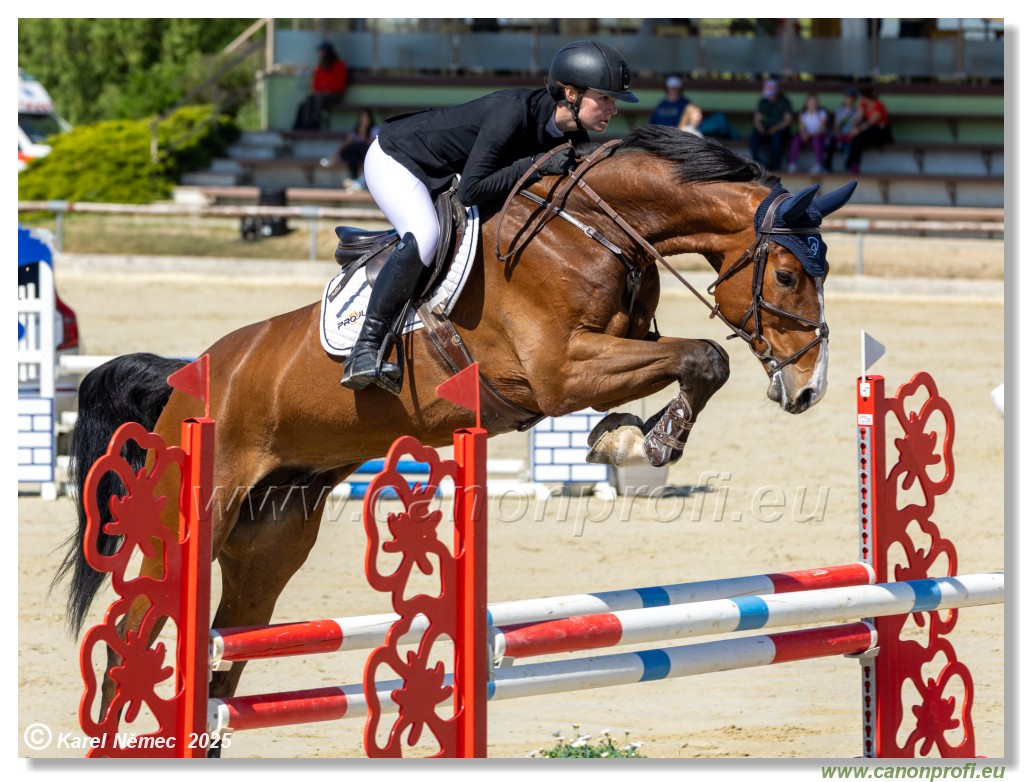 Rozlka Grand Prix 2025 - 1. kolo  -  115cm