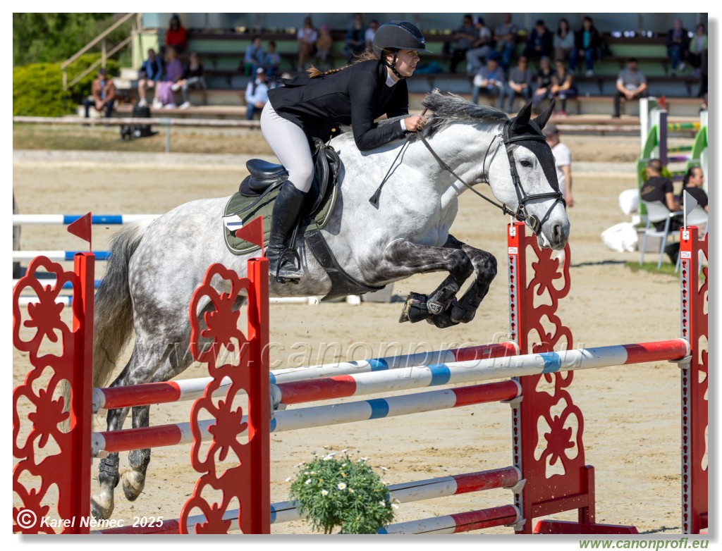 Rozlka Grand Prix 2025 - 1. kolo  -  115cm