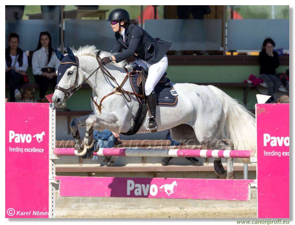 Rozlka Grand Prix 2025 - 1. kolo  -  125cm