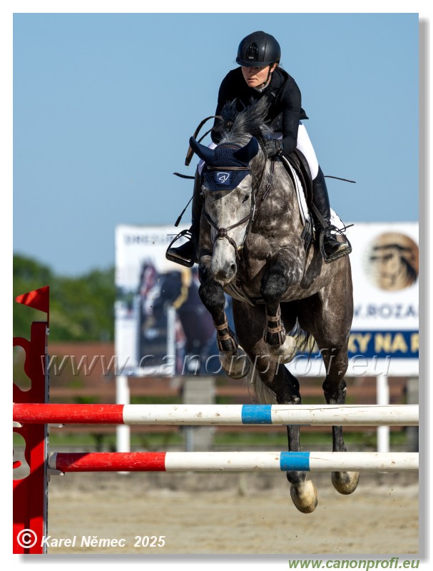 Rozlka Grand Prix 2025 - 1. kolo  -  130cm