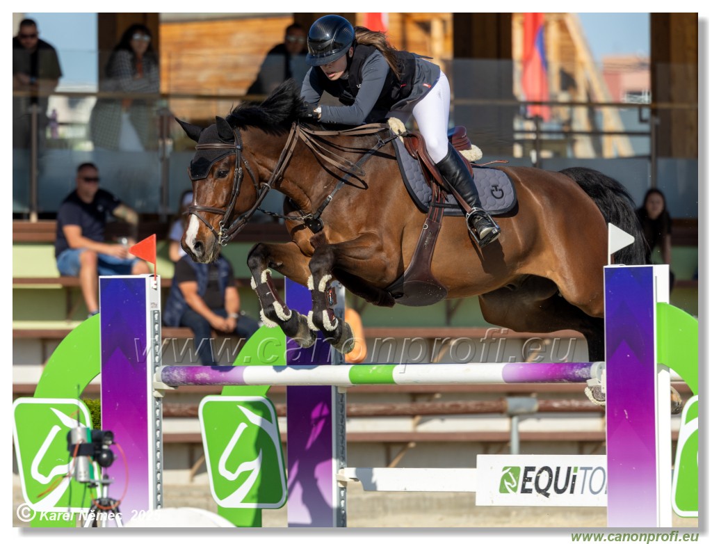 Rozlka Grand Prix 2025 - 1. kolo  -  130cm