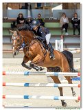 Gollvitzerová Tereza  -  BALOUNA VAN´T KRUIS Z