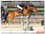 ... and a winner is: Bucov Dušan Miloslav  -  COCO BALOU VDB Z