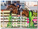 Bulík Martin - HOPEFUL THOUCHED NUMO